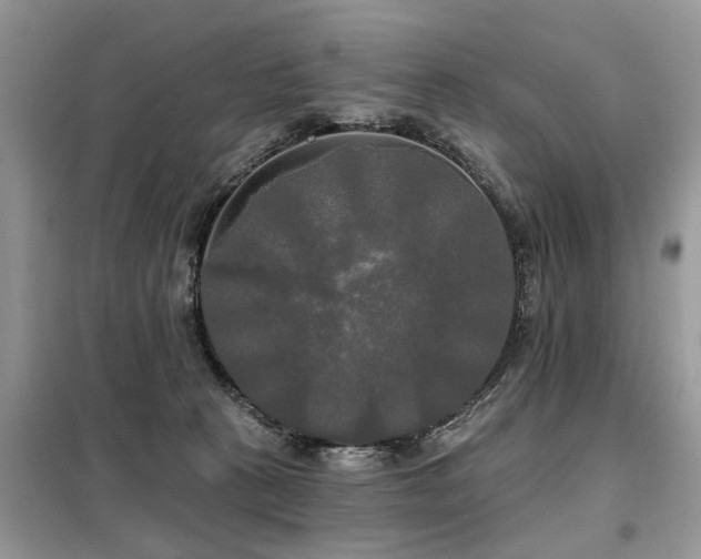X0000099420273200805091250