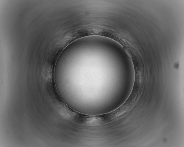 X0000099420274200805091250