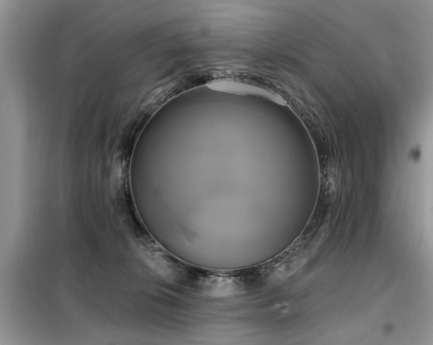 X0000099420276200805091250