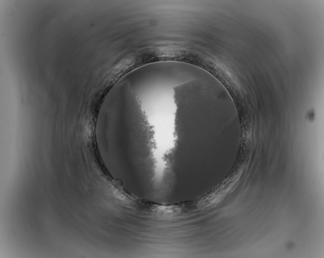 X0000099420277200805091250