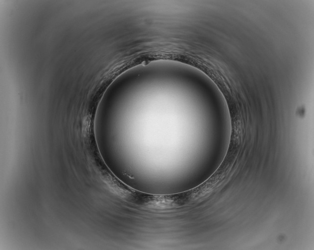 X0000099420278200805091250