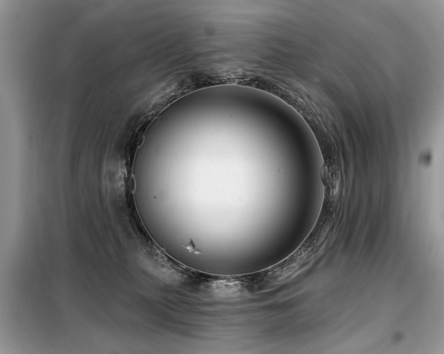 X0000099420279200805091250