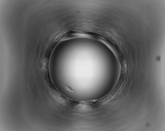 X0000099420280200805091250