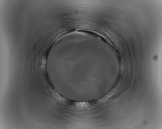 X0000099420281200805091250