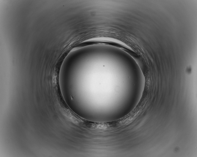 X0000099420282200805091250