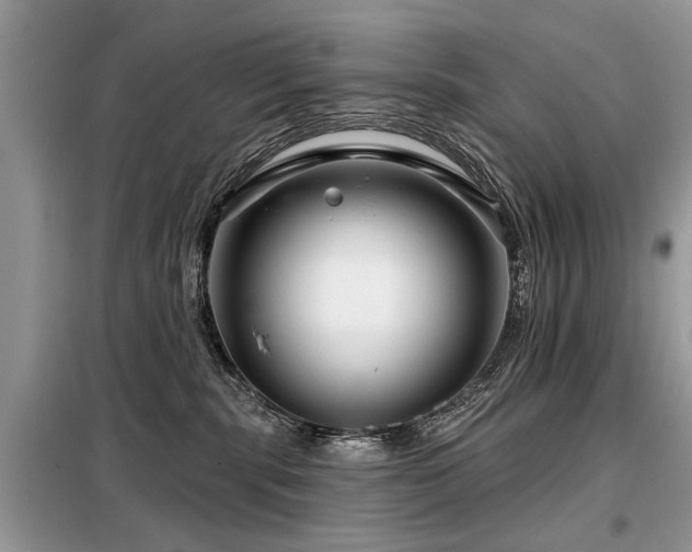 X0000099420283200805091250
