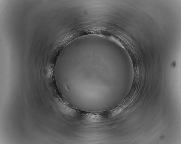X0000099420284200805091250