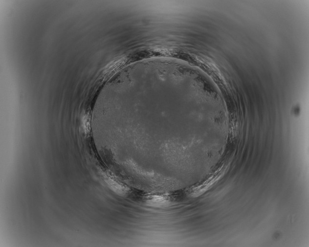 X0000099420285200805091250