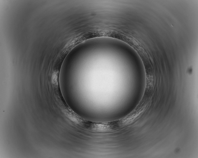 X0000099420286200805091250