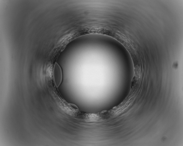 X0000099420287200805091250