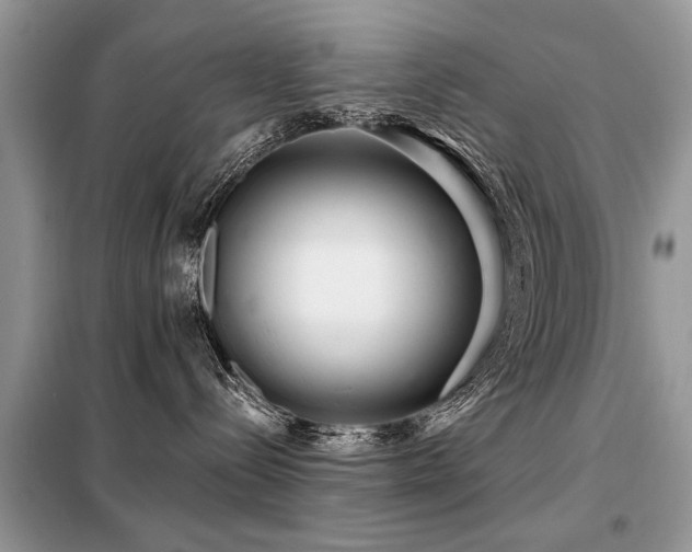 X0000099420288200805091250