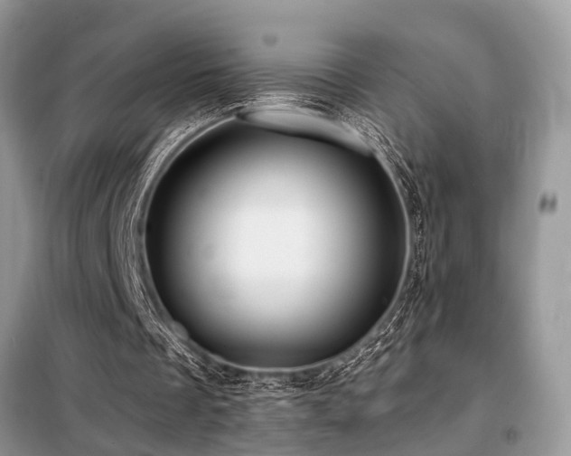 X0000099420289200805091249