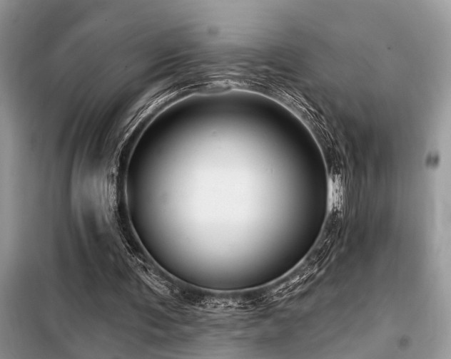 X0000099420291200805091249