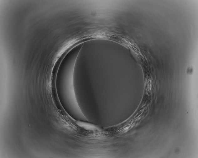 X0000099420292200805091249