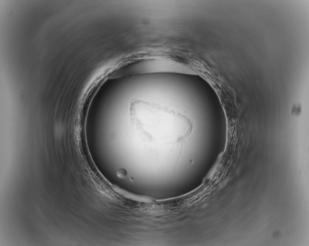 X0000099420293200805091249