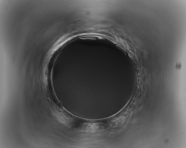 X0000099420295200805091249