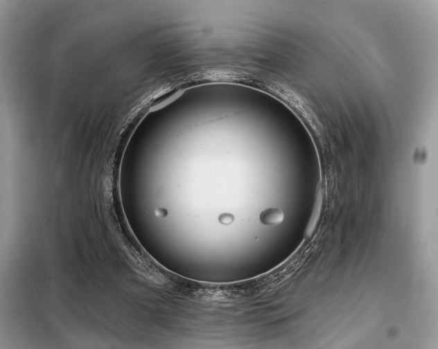 X0000099420297200805091249