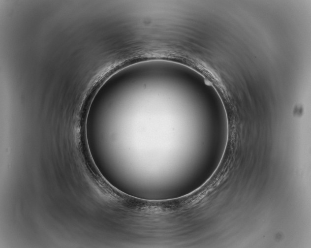X0000099420298200805091249