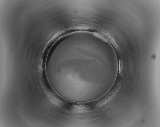 X0000099420300200805091249