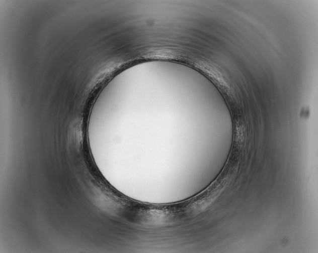 X0000099420302200805091249