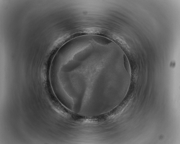 X0000099420303200805091249