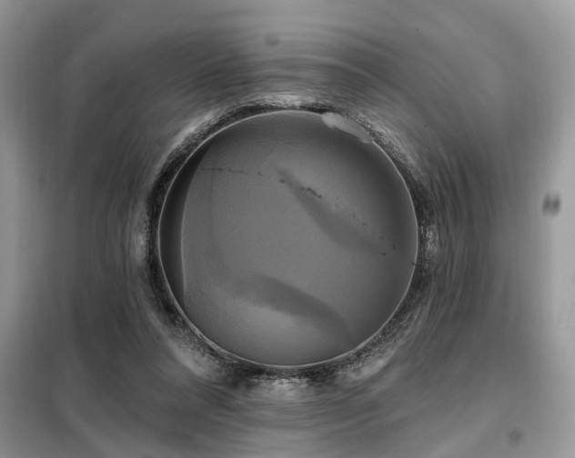 X0000099420304200805091249