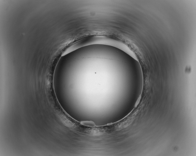X0000099420305200805091249
