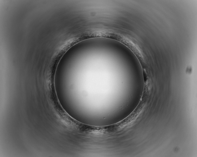 X0000099420306200805091249