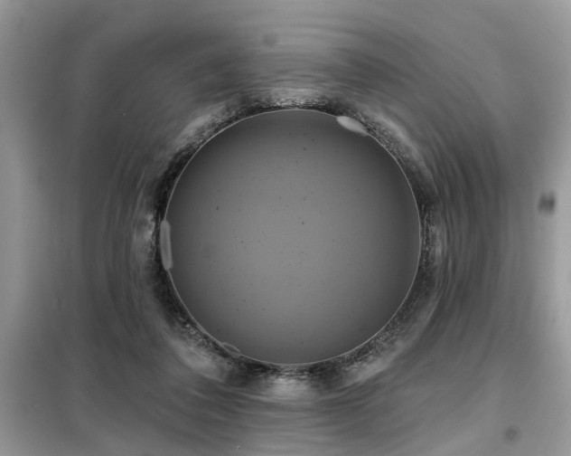 X0000099420308200805091249