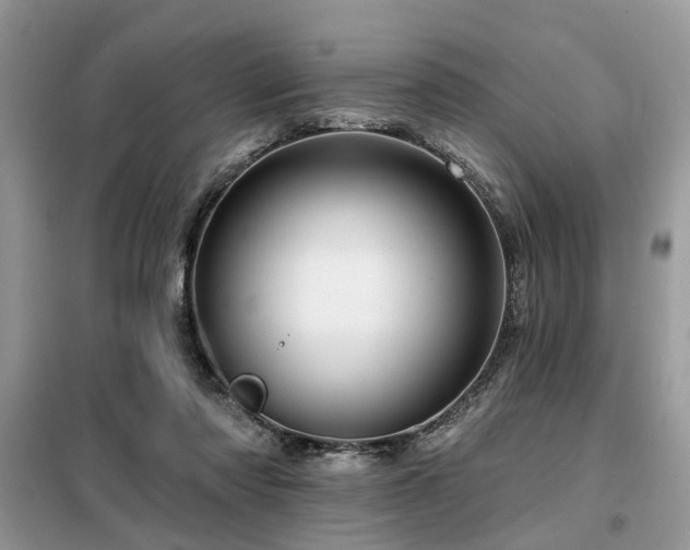 X0000099420310200805091249