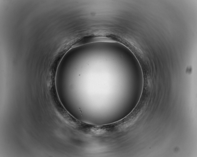 X0000099420311200805091249
