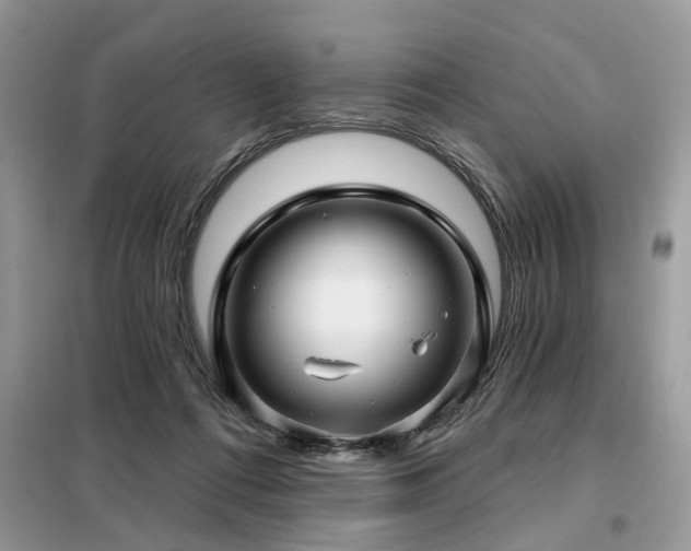 X0000099420312200805091249