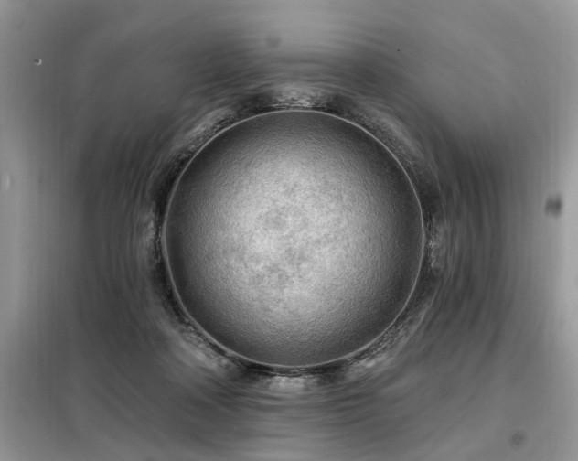 X0000099420314200805091249
