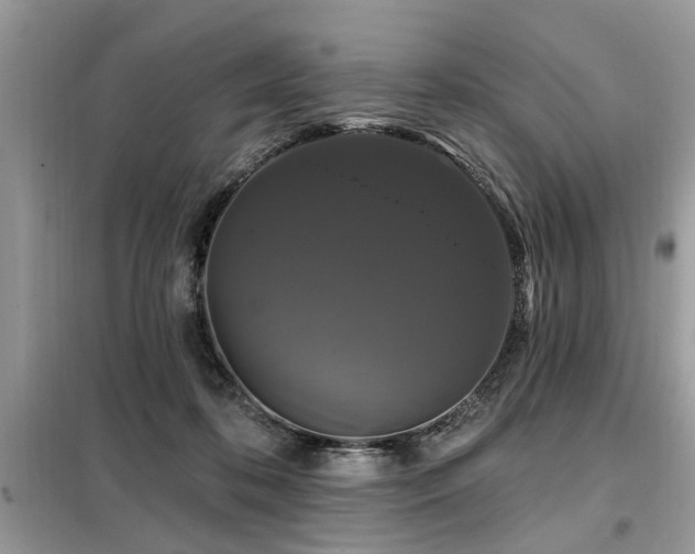 X0000099420316200805091249