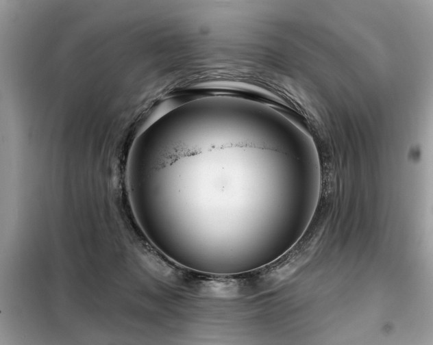 X0000099420317200805091249