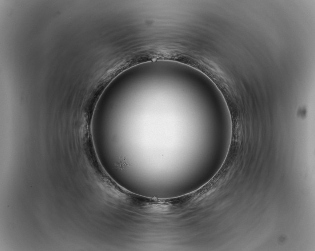 X0000099420318200805091249