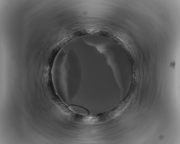 X0000099420319200805091249