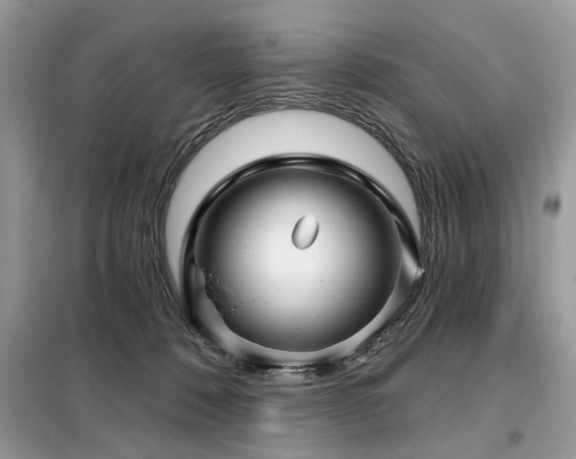 X0000099420320200805091249