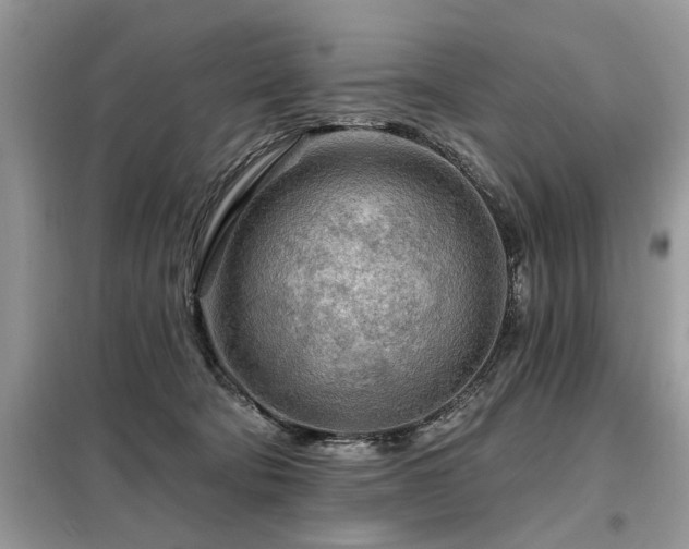 X0000099420322200805091249