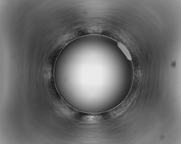 X0000099420323200805091249