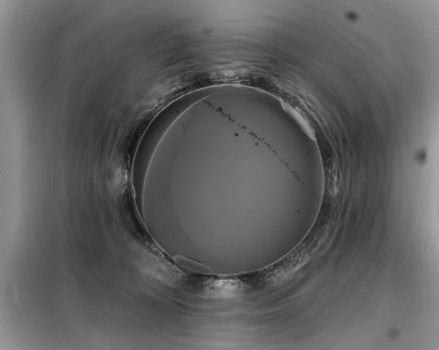 X0000099420324200805091249
