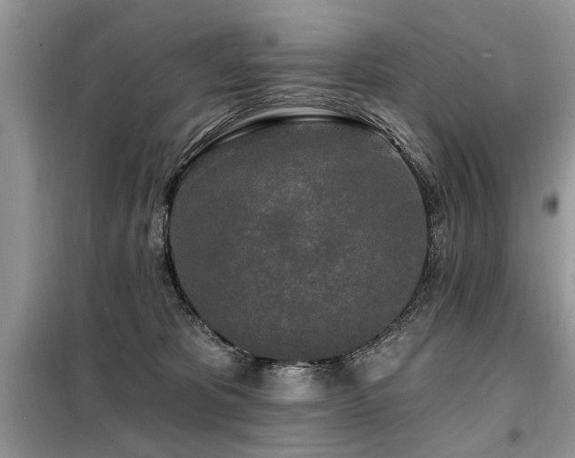 X0000099420325200805091249