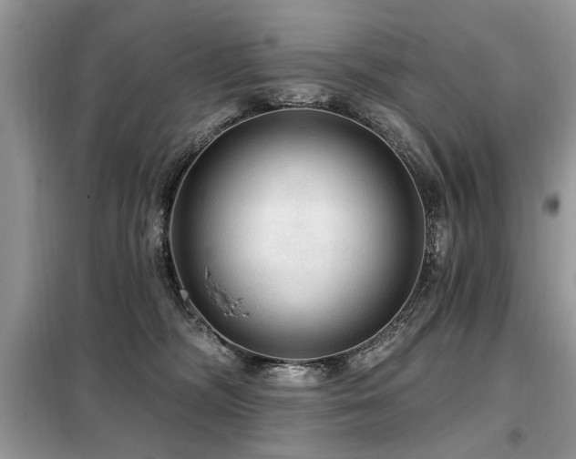 X0000099420326200805091249