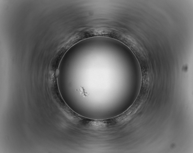 X0000099420327200805091249