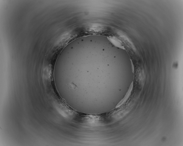 X0000099420328200805091249
