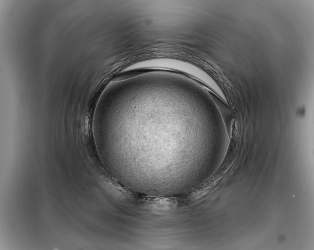 X0000099420330200805091249