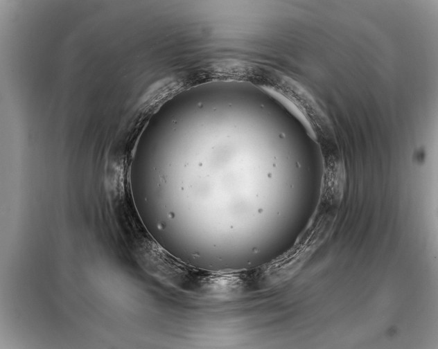 X0000099420333200805091249