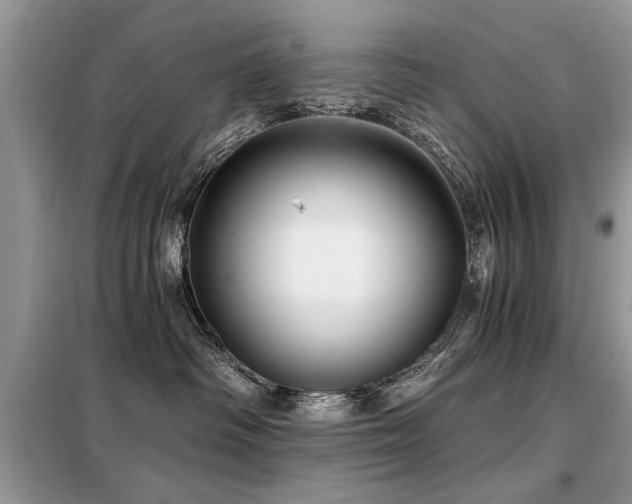 X0000099420334200805091249