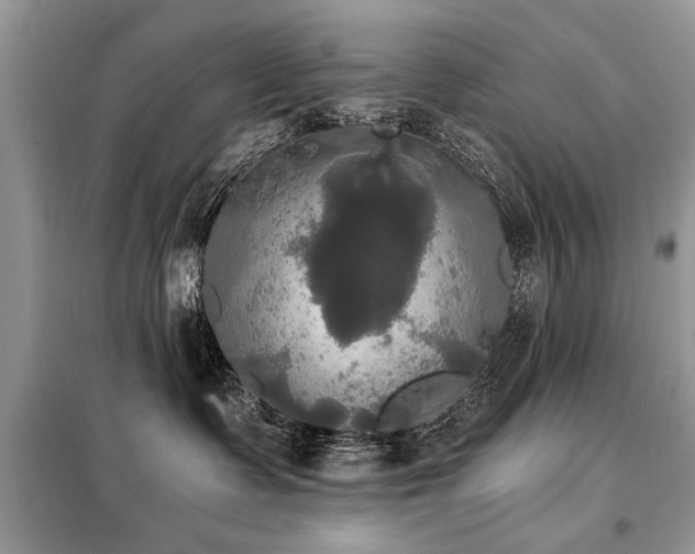 X0000099420335200805091249