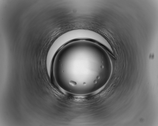X0000099420336200805091249
